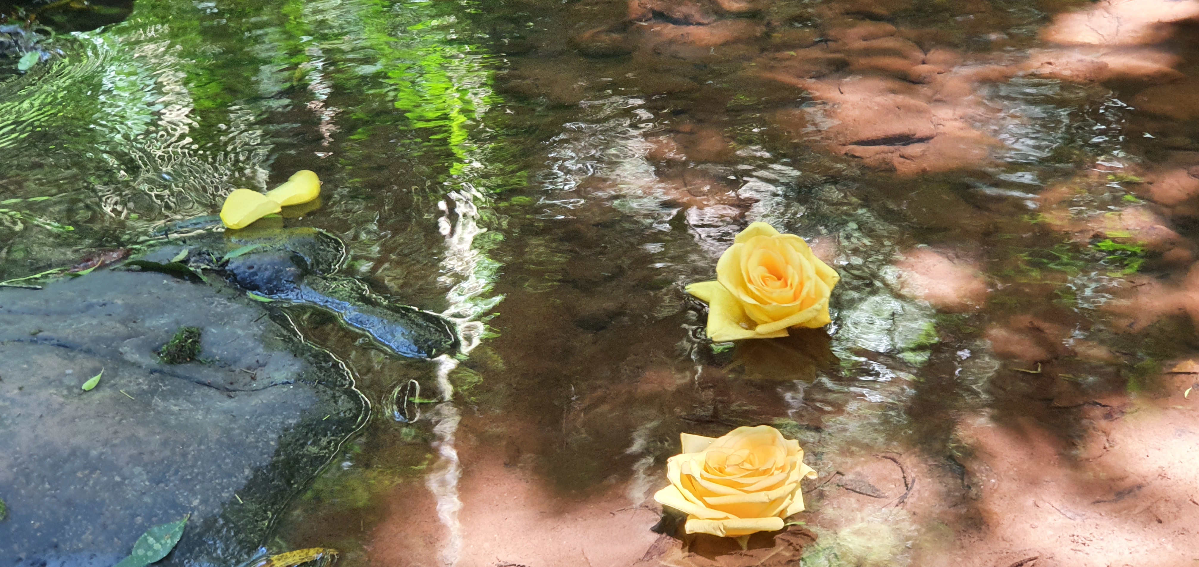 Uma oferenda à Oxum e Xangô para encerrar 2021